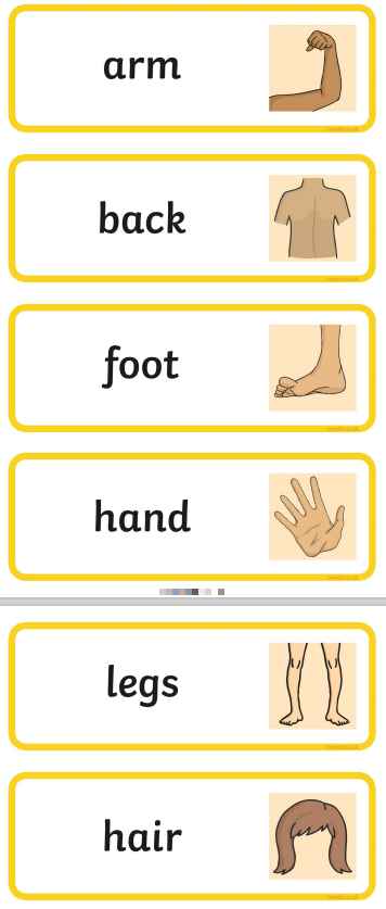 身体部位英语单词配对卡片Parts of the Body Topic Word Cards高清英文原版百度网盘vip免费下载download全套PDF文件
