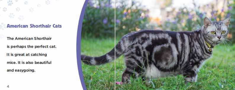 Cats猫咪英文主题绘本6册高清PDF百度网盘vip免费下载download全套