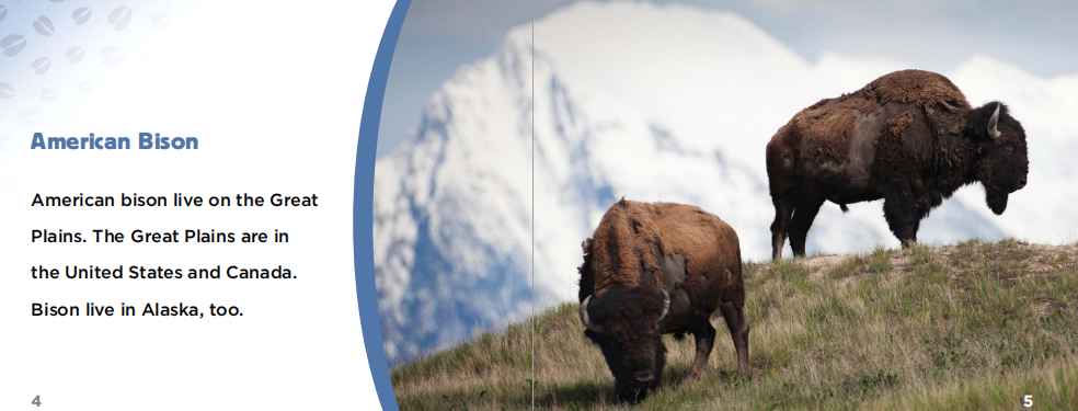Animals of North America北美动物英文主题绘本6册高清PDF百度网盘vip免费下载download全套