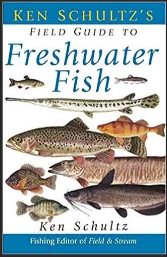 Freshwater Fish淡水鱼主题绘本6册高清PDF英文原版百度网盘vip免费下载download全套