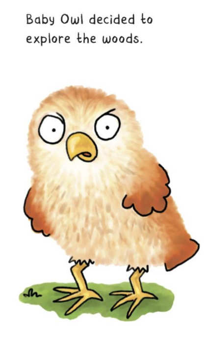 适合低幼宝宝得绘本《Baby Owl series小猫头鹰系列》共4册高清PDF百度网盘下载