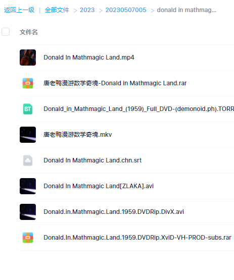 唐老鸭漫游数学奇境 Donald in Mathmagic LandDVD高清，mkv格式，中英文字幕，820MB